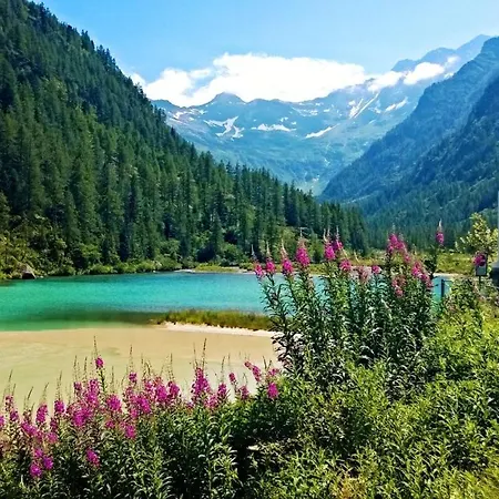 Attico Sul Rosa Ceppo Morelli