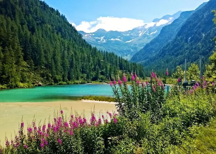 Attico Sul Rosa Ceppo Morelli